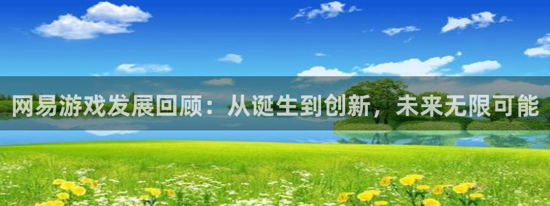 东莞新宝GG信息科技有限公司：网易游戏发展回顾：从诞生到创新，未来无限可能
