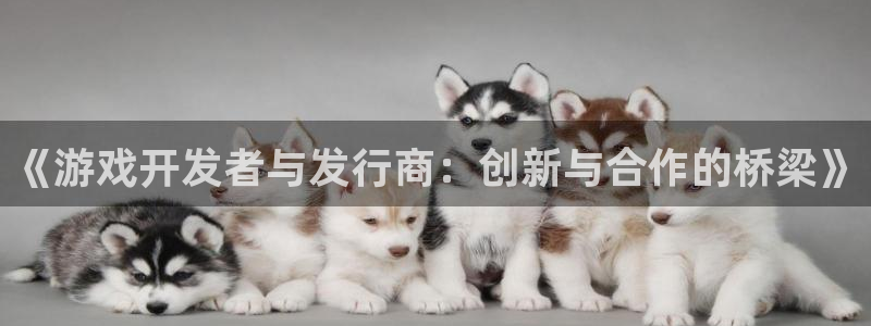 新宝GG官网官网注册账号：《游戏开发者与发行商：创新与合作的桥梁》