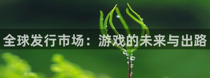 新宝GG官网注册方法是什么软件：全球发行市场：游戏的未来与出路