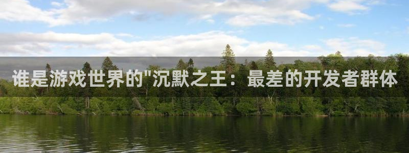 广州新宝GG投资管理顾问有限公司：谁是游戏世界的\