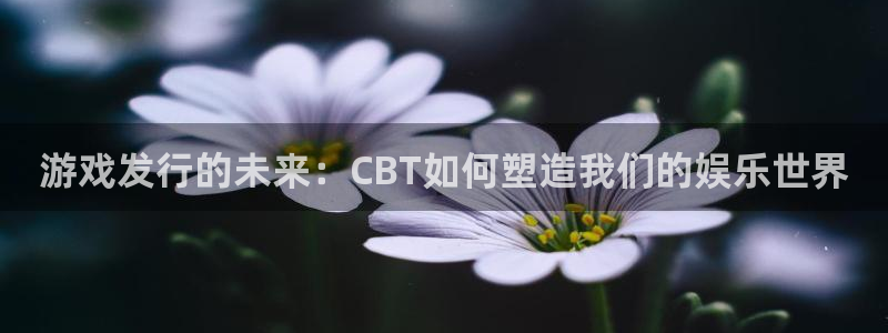 新宝GG官网注册平台登录：游戏发行的未来：CBT如何塑造我们的娱乐世界
