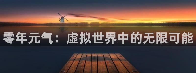 新宝GG涂料(北京)有限公司：零年元气：虚拟世界中的无限可能