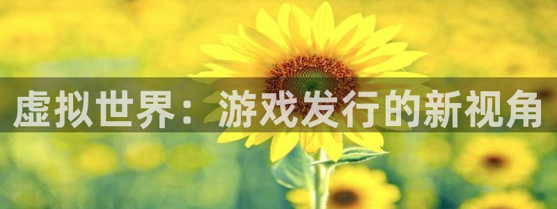lvnces新宝GG衣服价格：虚拟世界：游戏发行的新视角
