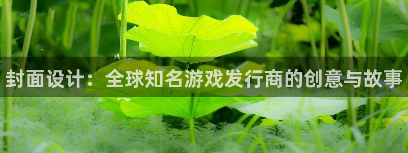 作者新宝GG子小说：封面设计：全球知名游戏发行商的创意与故事