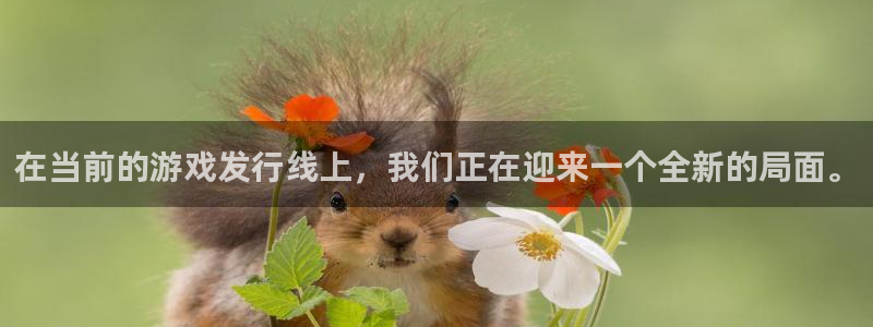新宝GG官网挂机项目怎么样啊：在当前的游戏发行线上，我们正在迎来一个全新的局面。