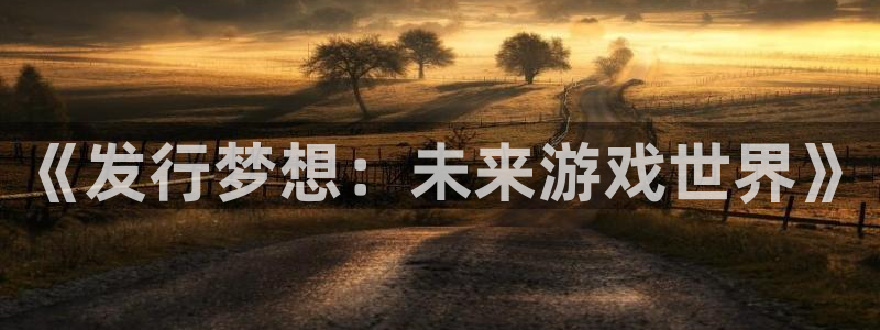 新宝GG子市值：《发行梦想：未来游戏世界》