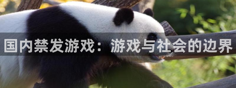 新宝GG多少钱：国内禁发游戏：游戏与社会的边界