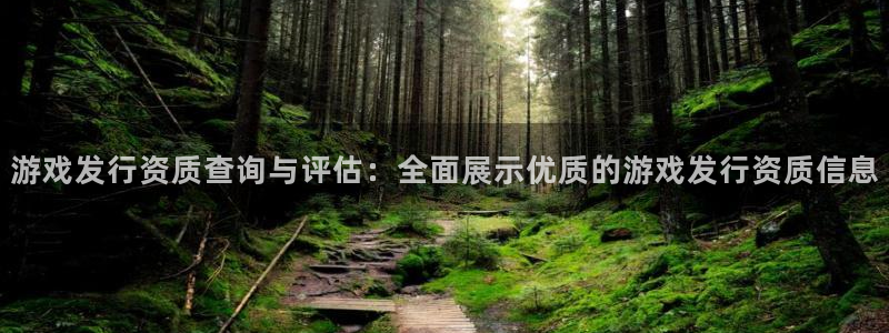 新宝GG子图书：游戏发行资质查询与评估：全面展示优质的游戏发行资质信息
