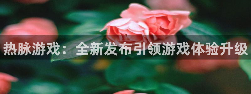新宝GG注册开户：热脉游戏：全新发布引领游戏体验升级