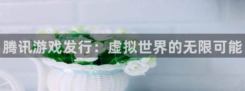 新宝GG干红葡萄酒750毫升多少钱