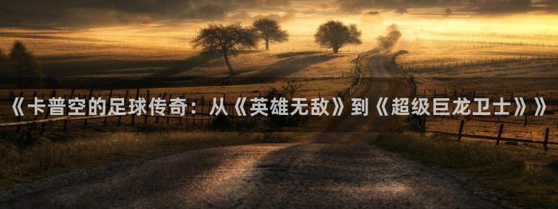 四川新宝GG科技有限公司：《卡普空的足球传奇：从《英雄无敌》到《超级巨龙卫士》》
