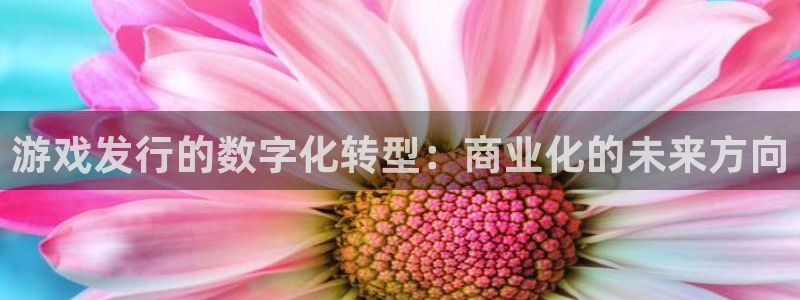 新宝GG子股价：游戏发行的数字化转型：商业化的未来方向