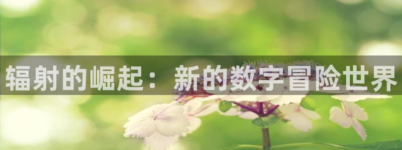 新宝GG技术有限公司官网：辐射的崛起：新的数字冒险世界