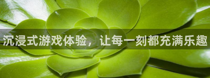 新宝GG怪兽