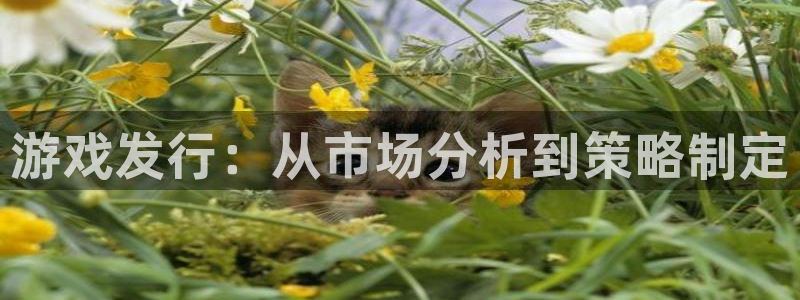新宝GGlvnces是什么档次