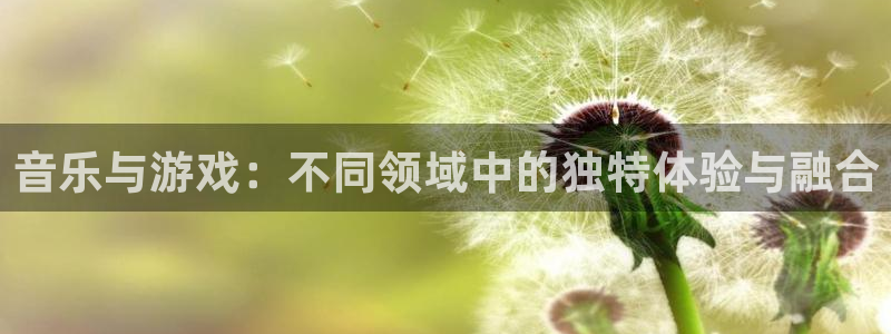 新宝GG官网登录注册：音乐与游戏：不同领域中的独特体验与融合
