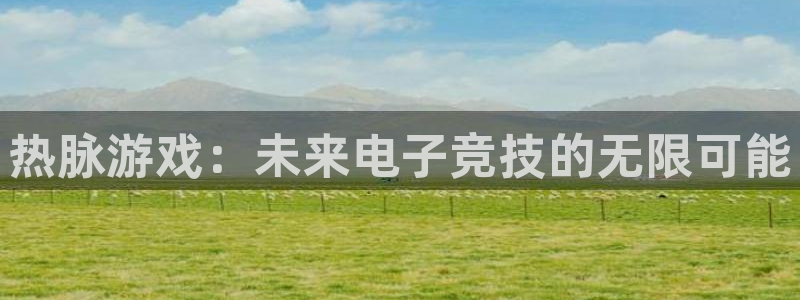深圳新宝GG电商