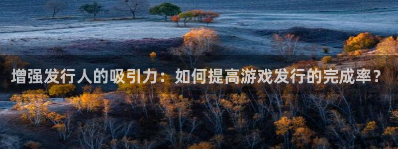 新宝GG子出版社董事长：增强发行人的吸引力：如何提高游戏发行的完成率？