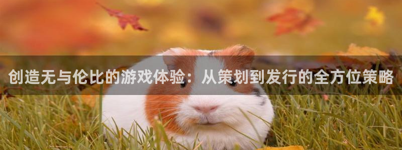 新宝GG子经理人：创造无与伦比的游戏体验：从策划到发行的全方位策略