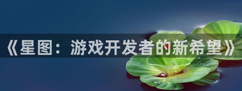 新宝GG品牌设计：《星图：游戏开发者的新希望》