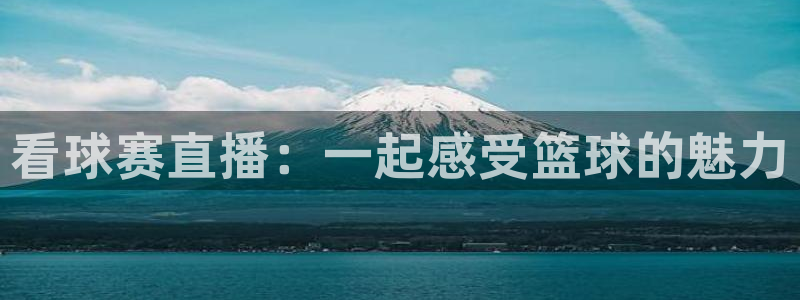 蜘蛛体育nba直播入口：看球赛直播：一起感受篮球的魅力