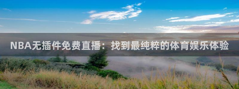 蜘蛛体育免费直播nba：NBA无插件免费直播：找到最纯粹的体育娱乐体验