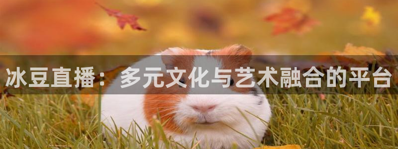 nba蜘蛛直播免费直播在线直播：冰豆直播：多元文化与艺术融合的平台
