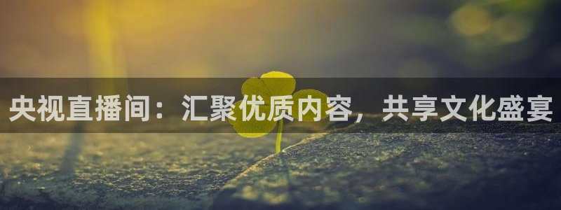 蜘蛛直播nba免费：央视直播间：汇聚优质内容，共享文化盛宴