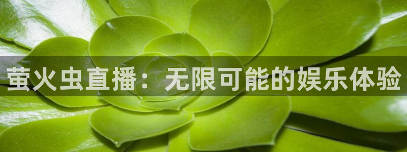蜘蛛体育免费直播在线观看：萤火虫直播：无限可能的娱乐体验
