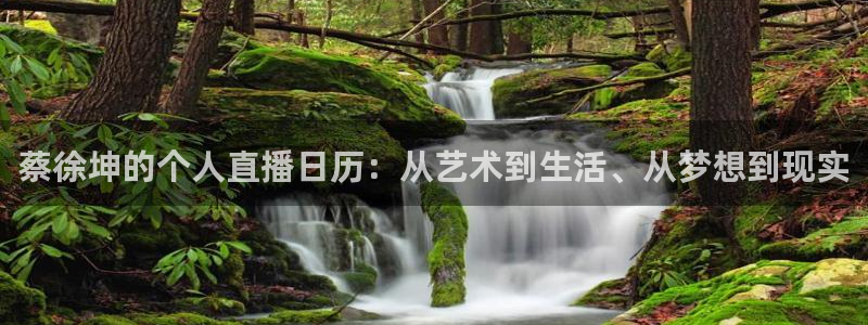 蜘蛛体育免费：蔡徐坤的个人直播日历：从艺术到生活、从梦想到现实