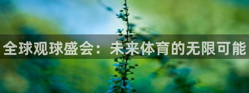 nba蜘蛛直播免费直播在线直播：全球观球盛会：未来体育的无限可能