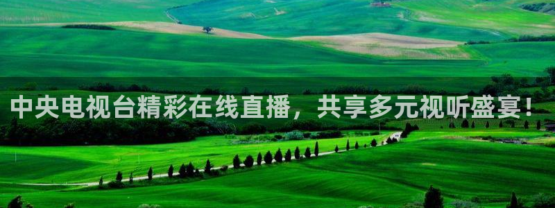 蜘蛛直播体育免费直播：中央电视台精彩在线直播，共享多元视听盛宴！