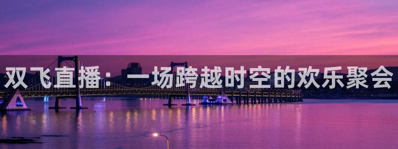 蜘蛛体育小狐狸：双飞直播：一场跨越时空的欢乐聚会